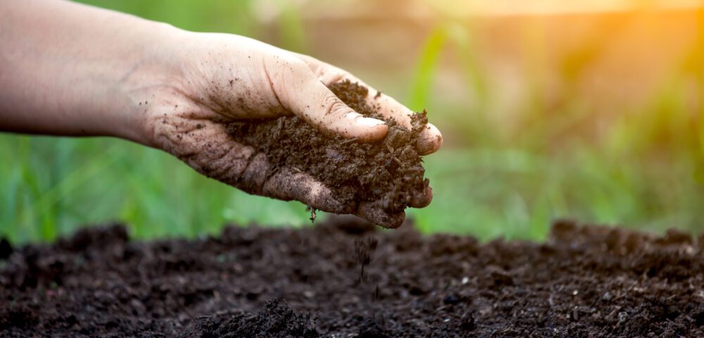 Fertilizzante naturale