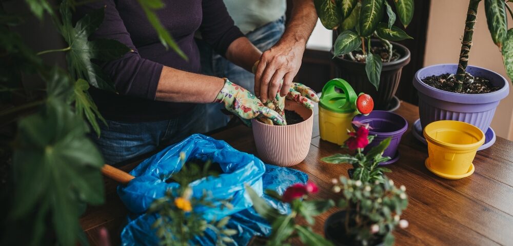 Quanto humus di lombrico serve per orto, vaso e campo
